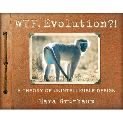 These Nature Photos Will Tickle Your Funny Bone